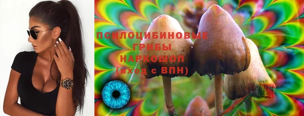 ГАЛЛЮЦИНОГЕННЫЕ ГРИБЫ Алексин