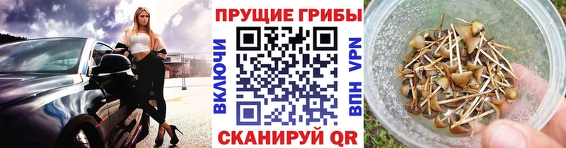 Галлюциногенные грибы MAGIC MUSHROOMS  Междуреченск 